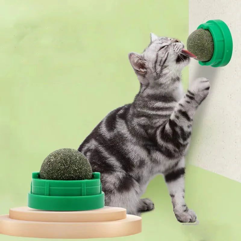 Bolas de Catnip para gatos , saudável natural,  para promover a digestão do gato