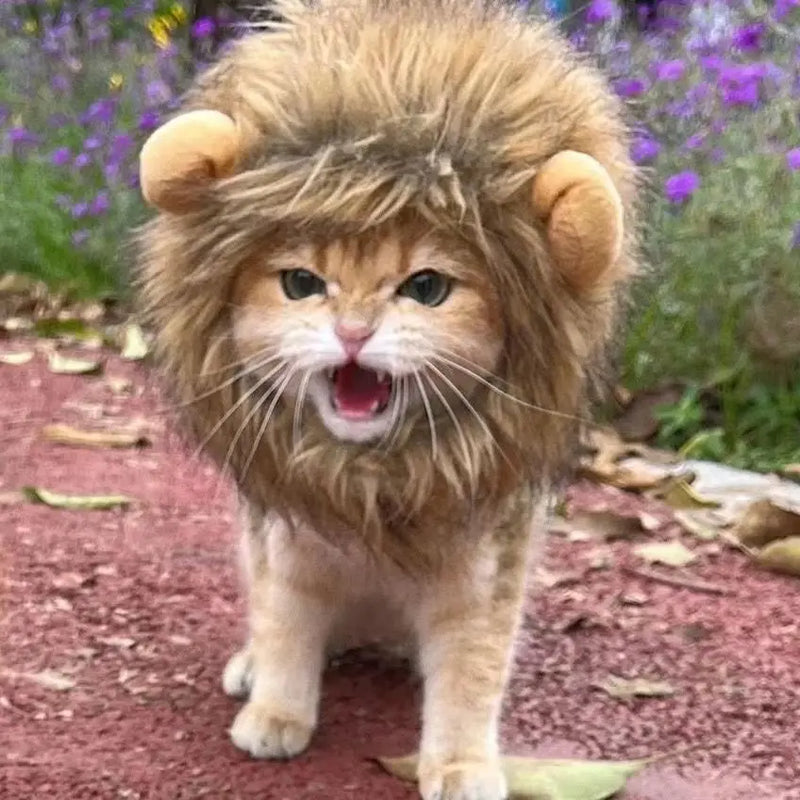 Touca de leão para cães e gatos. Fantasia.