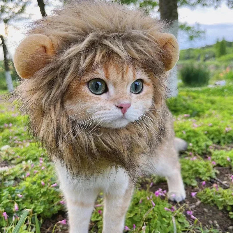 Touca de leão para cães e gatos. Fantasia.